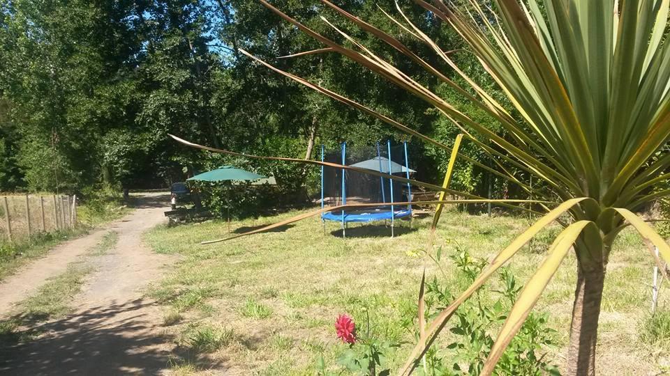 Cabanas Rucalhue Salto Del Laja Cabrero エクステリア 写真