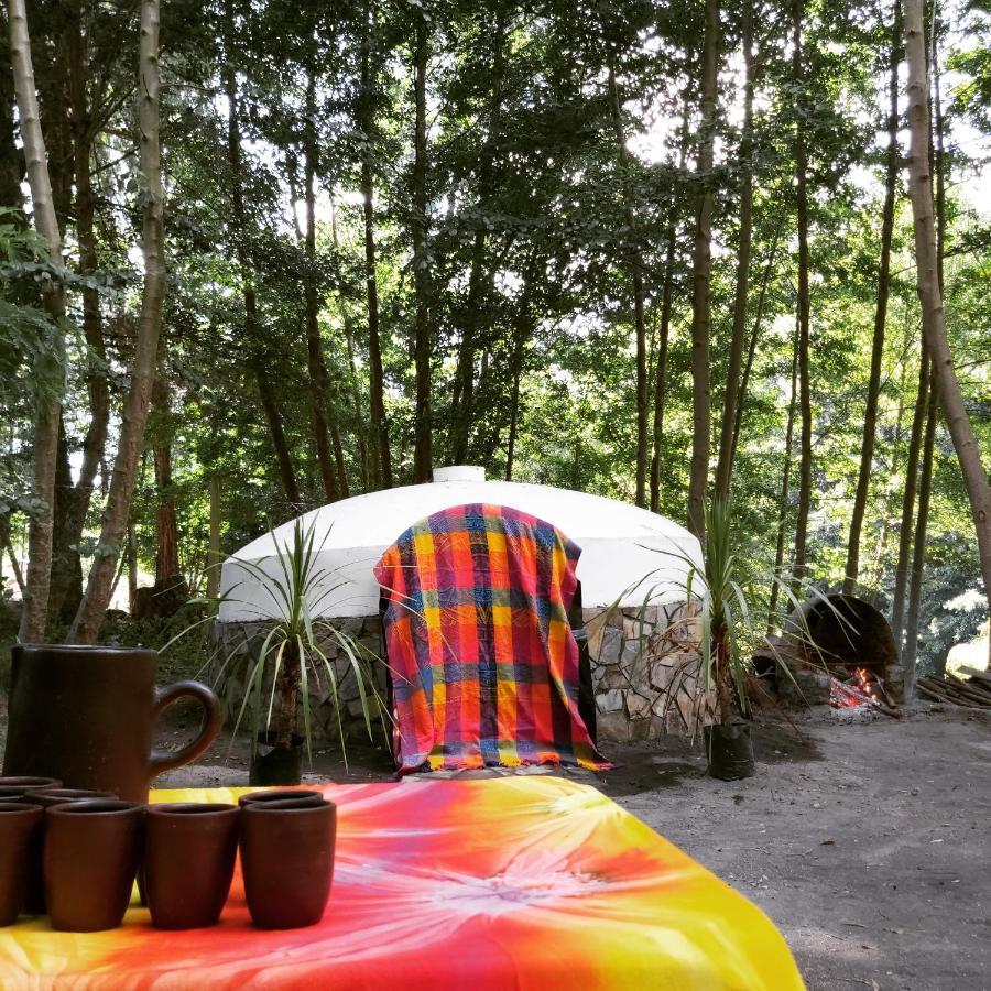 Cabanas Rucalhue Salto Del Laja Cabrero エクステリア 写真